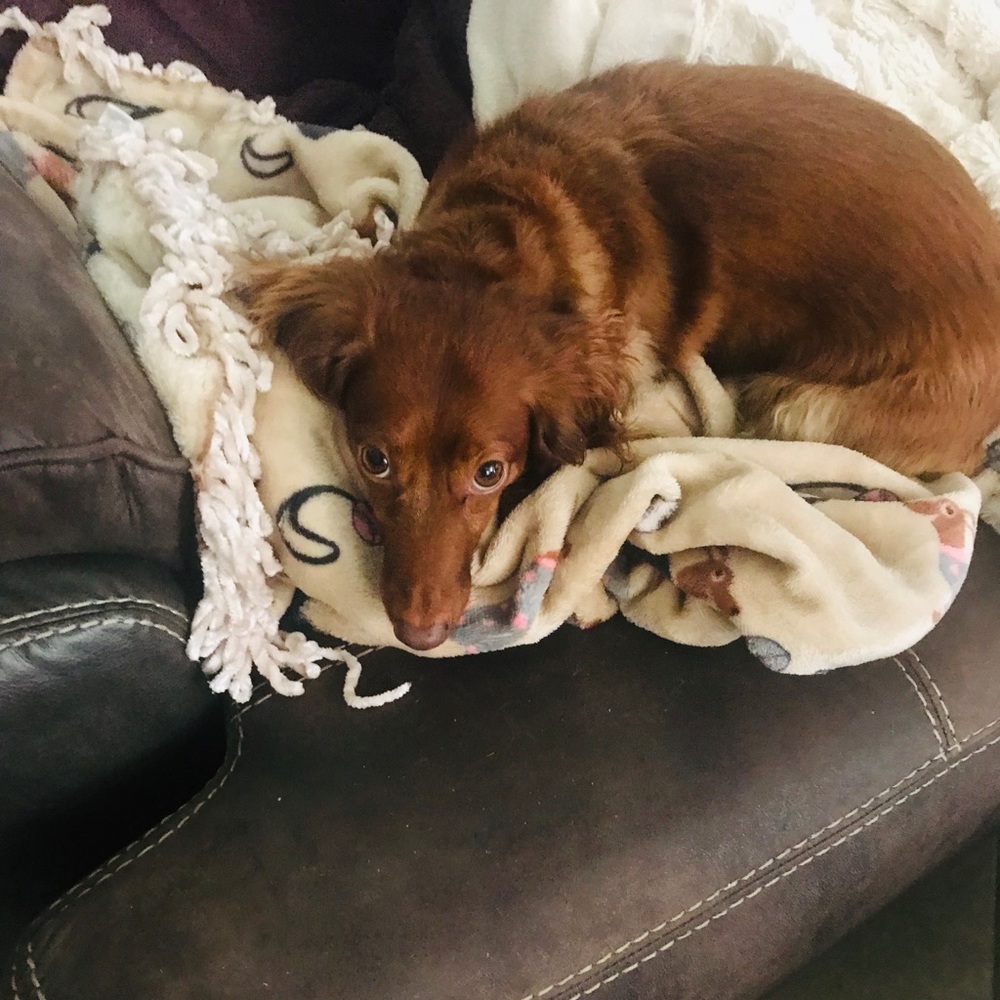 Meet your Posher, Danielle